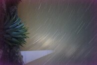 untitled (255 of 256).jpg