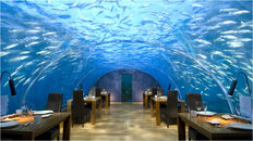 Maldives_restaurant_ithaa1.jpg