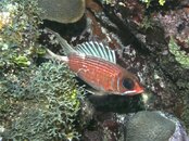 PICT0006.jpg