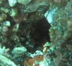 who lives in here.jpg