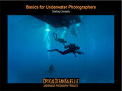 Basics-of-Underwater-Photography-2.jpg