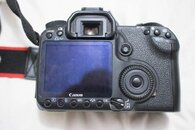 _MG_7174.jpg
