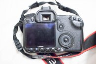 _MG_7179.jpg