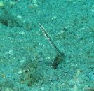 IMG_4478.jpg