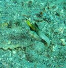 IMG_4480.jpg