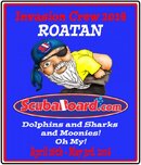 2014 Tshirt design 1.jpg