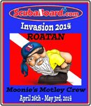 2014 Tshirt design 3.jpg