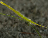 jpeg-1310.jpg