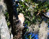 DSC_7748.jpg