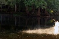 DSC_7749.jpg
