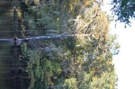 DSC_7727.jpg