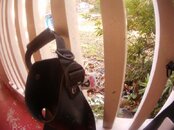 AMBA0002.jpg