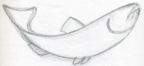 how-to-draw-a-fish08.jpg how-to-draw-a-fish08.jpg