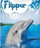 Flipper 2.jpg
