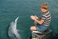 Flipper 3.jpg