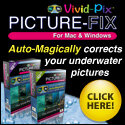 banner-125x125.jpg