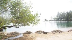 NABS Summit_11 16 13_0004-155.jpg