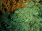DSCN0545.jpg