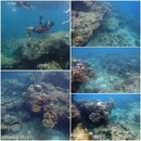 pulau seribu samples.jpg