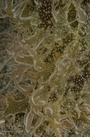BHB-201311174493.jpg