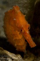 BHB-201311174535.jpg
