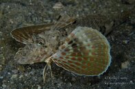 BHB-201311174544.jpg