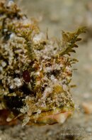 BHB-201311174580.jpg