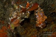 BHB-201311174648.jpg