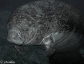 DSC03201.jpg