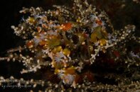 BHB-201311174668.jpg