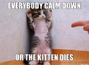 everybody-calm-down-or-the-kitten-dies.jpg everybody-calm-down-or-the-kitten-dies.jpg