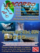 socorro-2014-flyer-web.jpg
