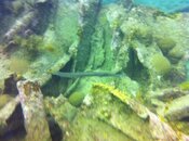 IMG_3249.jpg
