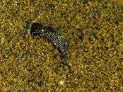 Photos-51a2da92.jpg