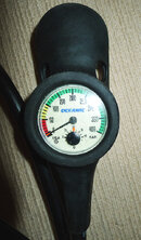 gauge back.jpg