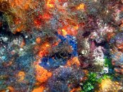 IMG_4596_1.jpg