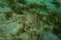 DSC03501.jpg