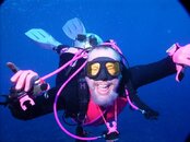 THpalau102913.jpg
