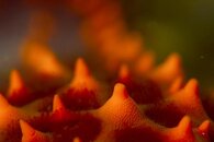 untitled shoot-011a.jpg