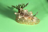 untitled shoot-091a.jpg