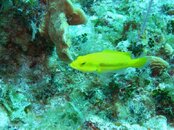 M0010357.jpg