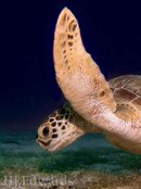 20130926-068-2.jpg