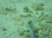 DSCN0821.jpg