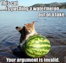 invalid argument.jpg