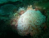 IMG_20131210_102314.jpg