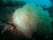 IMG_20131210_102342.jpg