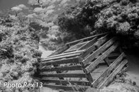 TheLobsterTrapsmall-1_zps3c46f56c.jpg