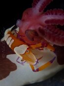 IMG_0851.jpg