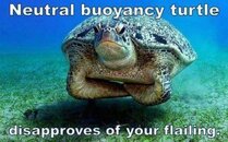 neutral buoyancy turtle.jpg neutral buoyancy turtle.jpg