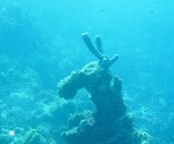 Underwater Moose.jpg